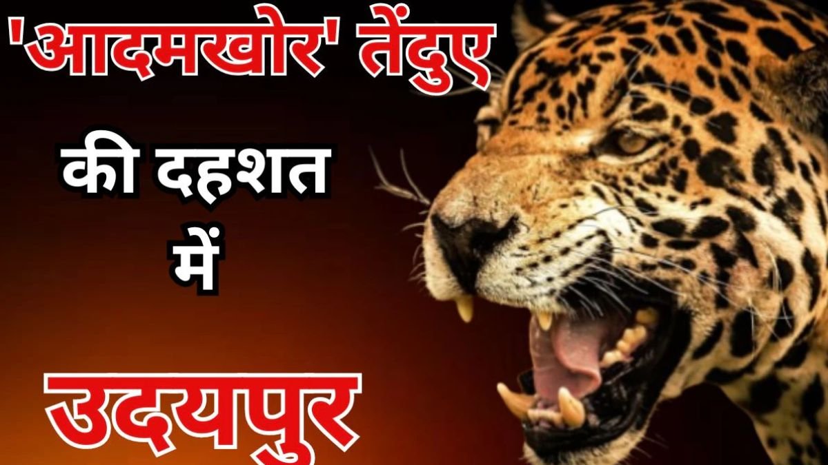 human killer leopard
