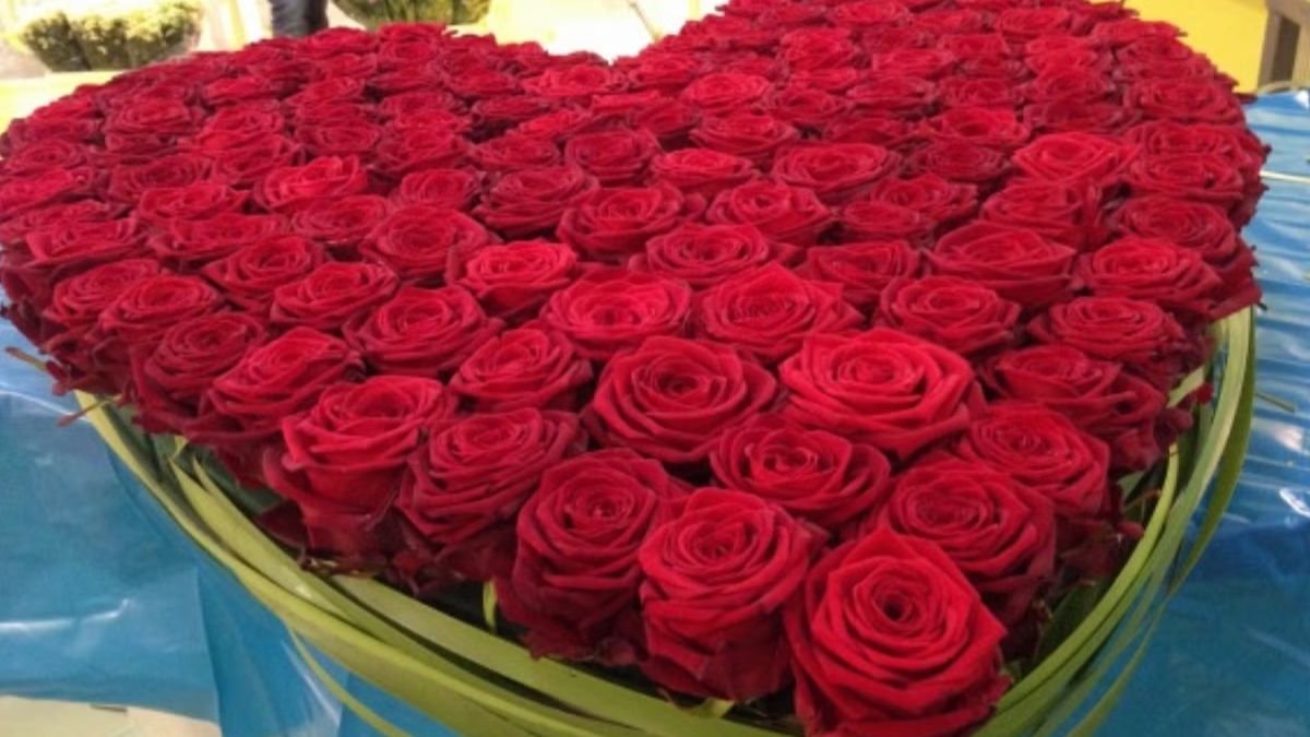 Valentine Week