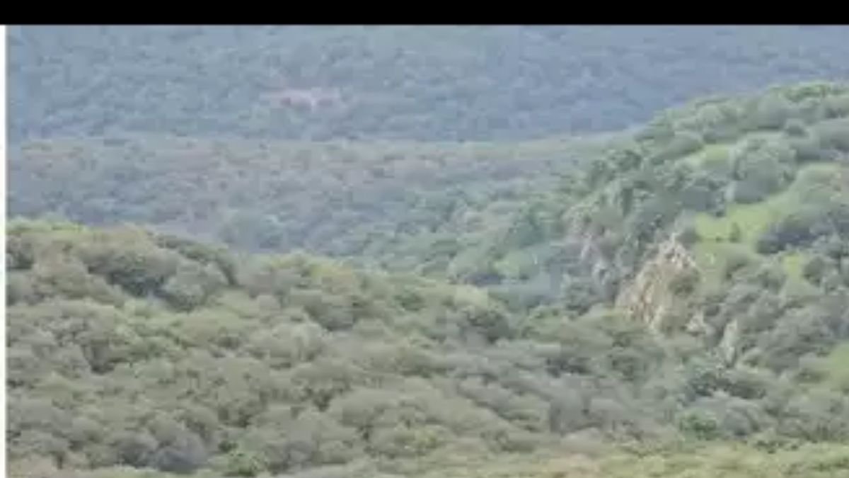 sanctuary areas in Rajasthan