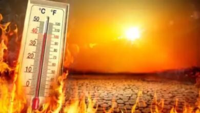 Heatwave Alert