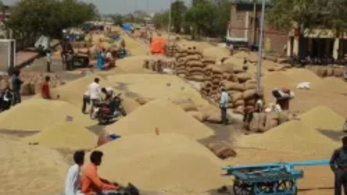 new food parks